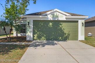 767 Alpine Thistle Dr, Brooksville, FL 34604