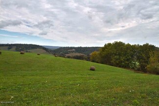 29 Bald Meadow Ln, Barren Springs, VA 24313