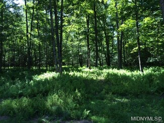 9969 Beckwith Rd, Westernville, NY 13486