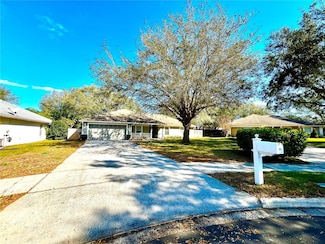 1135 Mount Rainier Ct, Apopka, FL 32712