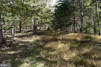 Lot 5 Private Ranch Rd, Three Chrs, WV 26757