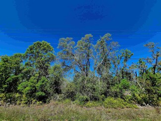 Lot 86 Beach Rd, Perry, FL 32348