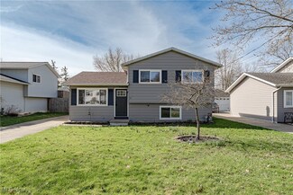 1191 Lloyd Ave, Aurora, OH 44202