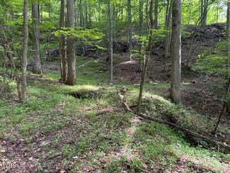 0 Cane Mountain Ln Unit 9967935, Burnsville, NC 28714