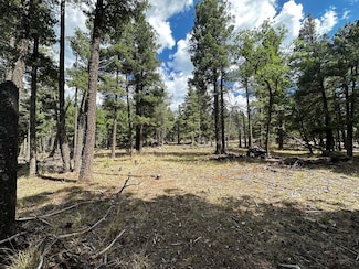 0 Big Dipper Rd Unit 15 171177, Cloudcroft, NM 88317