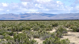 0 Apn 074-441-28 Unit 250051345, Reno, NV 89510