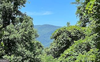 101 AC Lori's Mountain, Hayesville, NC 28904