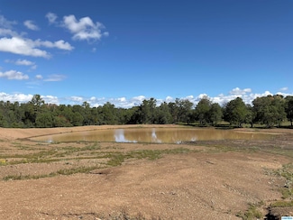 1xxxx Georgetown Rd Unit Buena Vista Mine, Hanover, NM 88041