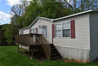 1247 Maple Fork Rd, Mount Hope, WV 25880