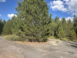 0 Hwy 97 N Unit 450805065, Crescent, OR 97733