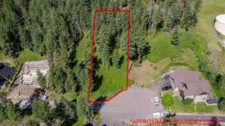 356 Windsor Ct, Bigfork, MT 59911