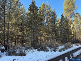 0 Brook Trout Ln Unit 823745, Chiloquin, OR 97624