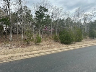 000 Royal Dornoch Dr, Branson, MO 65616