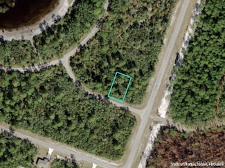 TBD Fisher Loop Run, Silver Springs Shores East, FL 32179