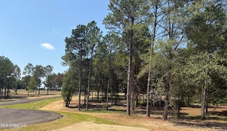 0 Sunfish Ln Unit 4124798, Lucedale, MS 39452