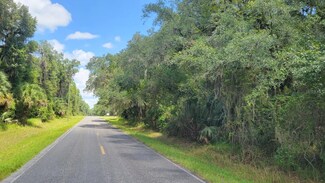 #7 - 15.22ac NE 127th St, Fort Mc Coy, FL 32134