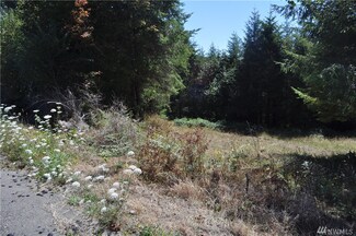 0 Fern Hill Rd Unit 1019288, Cathlamet, WA 98612
