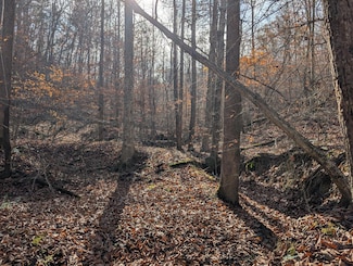 0 Hatton Creek Rd Unit 25002230, Stanton, KY 40380