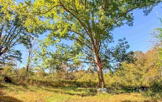 299 Dry Pond Hwy, Claudville, VA 24076