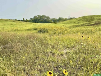 22611 Copper Ridge Rd, Gretna, NE 68028