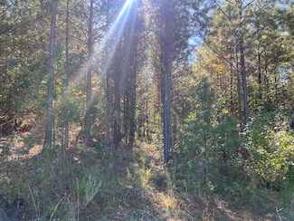 Logtown Rd, Salem, GA 31016