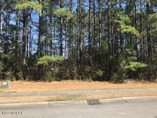 9409 Old Salem Way, Calabash, NC 28467