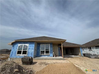 2534 Cowgirl Trail, Belton, TX 76513