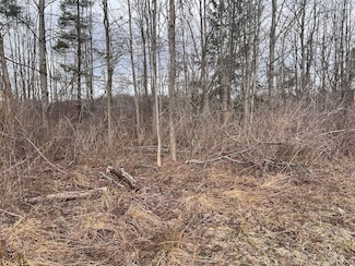 0 Ryther Rd Unit LotWP002 22672975, Evans, NY 14006