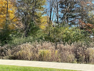 V/L Lawnmark Dr, Hudson, OH 44236