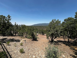 46 Camino Del Senador, Tijeras, NM 87059