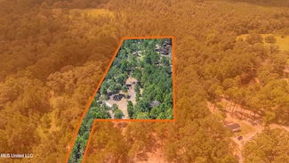 0 W Mchenry Rd, McHenry, MS 39561