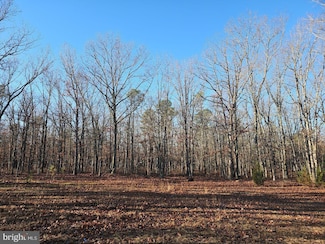 1930 Mccall Ave, Mays Landing, NJ 08330