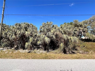 0 Johannesberg Rd Unit MFRC7507162, North Port, FL 34288