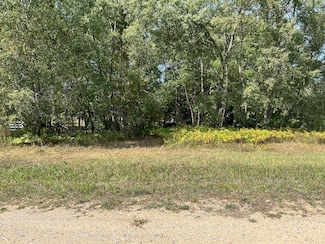 8730 125th Ave, Canadian Lakes, MI 49346