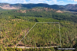 Lot 2 Gunsmoke Ln, Priest River, ID 83856