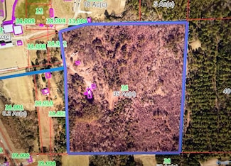 250 Wildcat Woods, Sand Rock, AL 35983