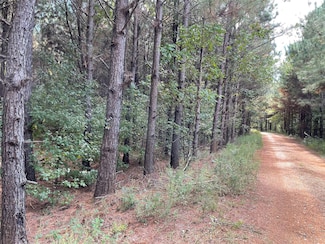 0 Chalybeate Springs Rd, Plain Dealing, LA 71064