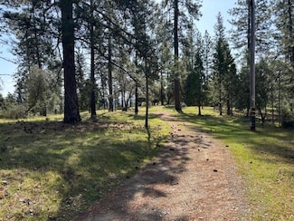 19292 Shawnee Trail, Mokelumne Hill, CA 95245