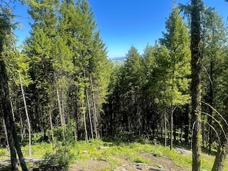 1562 Crown Point Pkwy Unit 38, Cascade, ID 83611
