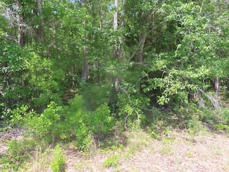 0 Garvey Rd, Summerton, SC 29148