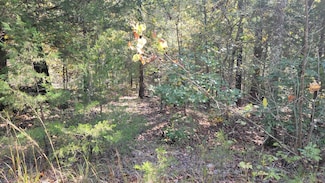L27 28 B9 Micco Dr, Cherokee Village, AR 72529