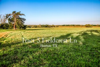 Tract 5 Fieldcrest Ln, Burton, TX 77835