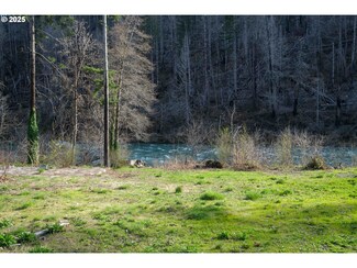 28959 N Umpqua Hwy, Glide, OR 97447