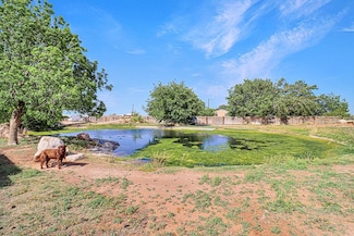10965 E Emerson St, Gardendale, TX 79758