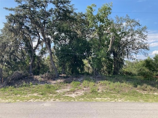 0 3rd Ave Unit MFRT3539684, Babson Park, FL 33827
