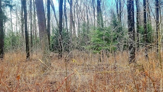 0 S Shore Dr Unit 50173333, Goodman T-Wi, WI 54125