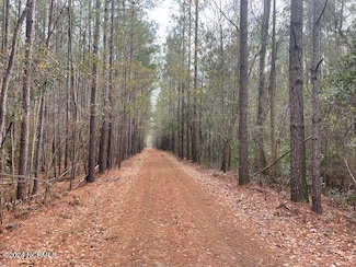 4951 Twisted Hickory Rd, Elizabethtown, NC 28337
