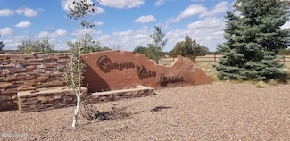 7687 Arroyo Plata Dr, Shumway, AZ 85901