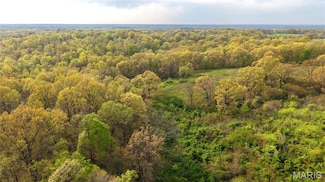 0 County Road 261, Welch Township, MO 63730