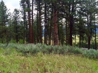 B6 L22 Hot Springs Rd Unit 22, New Meadows, ID 83654